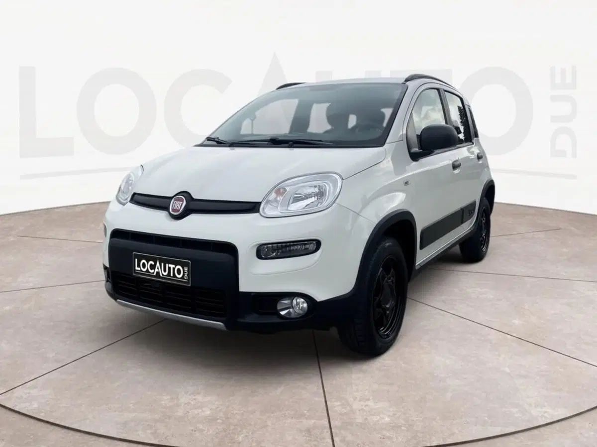 Fiat Panda usata a Torino
