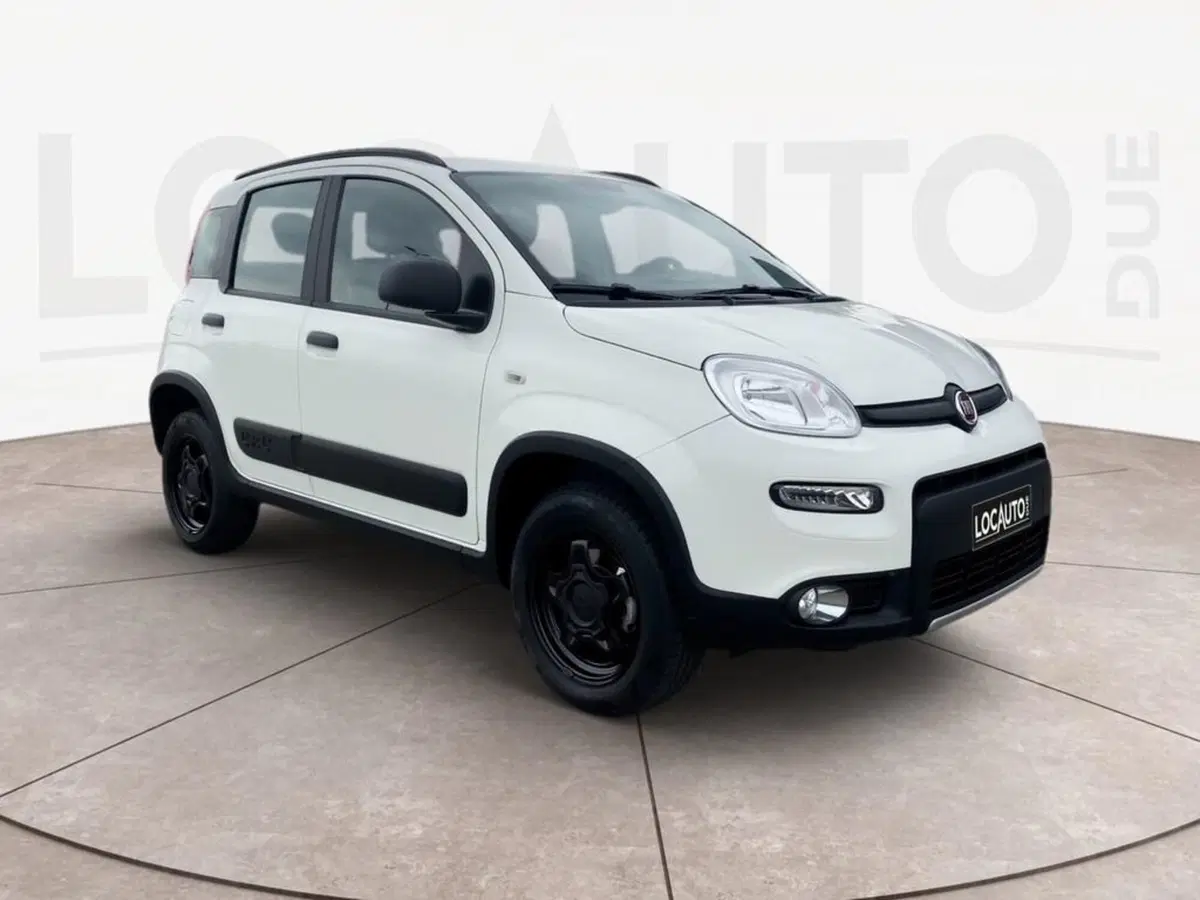 Fiat Panda usata a Torino (3)