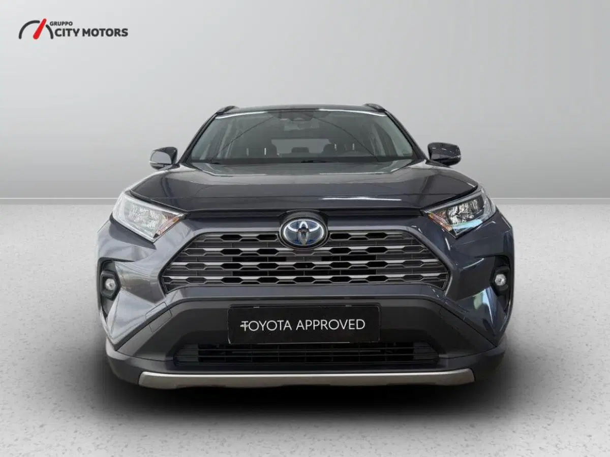 Toyota Rav4 usata a Monza e Brianza (3)