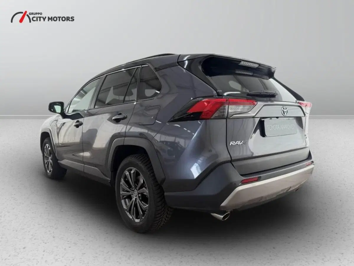 Toyota Rav4 usata a Monza e Brianza (5)