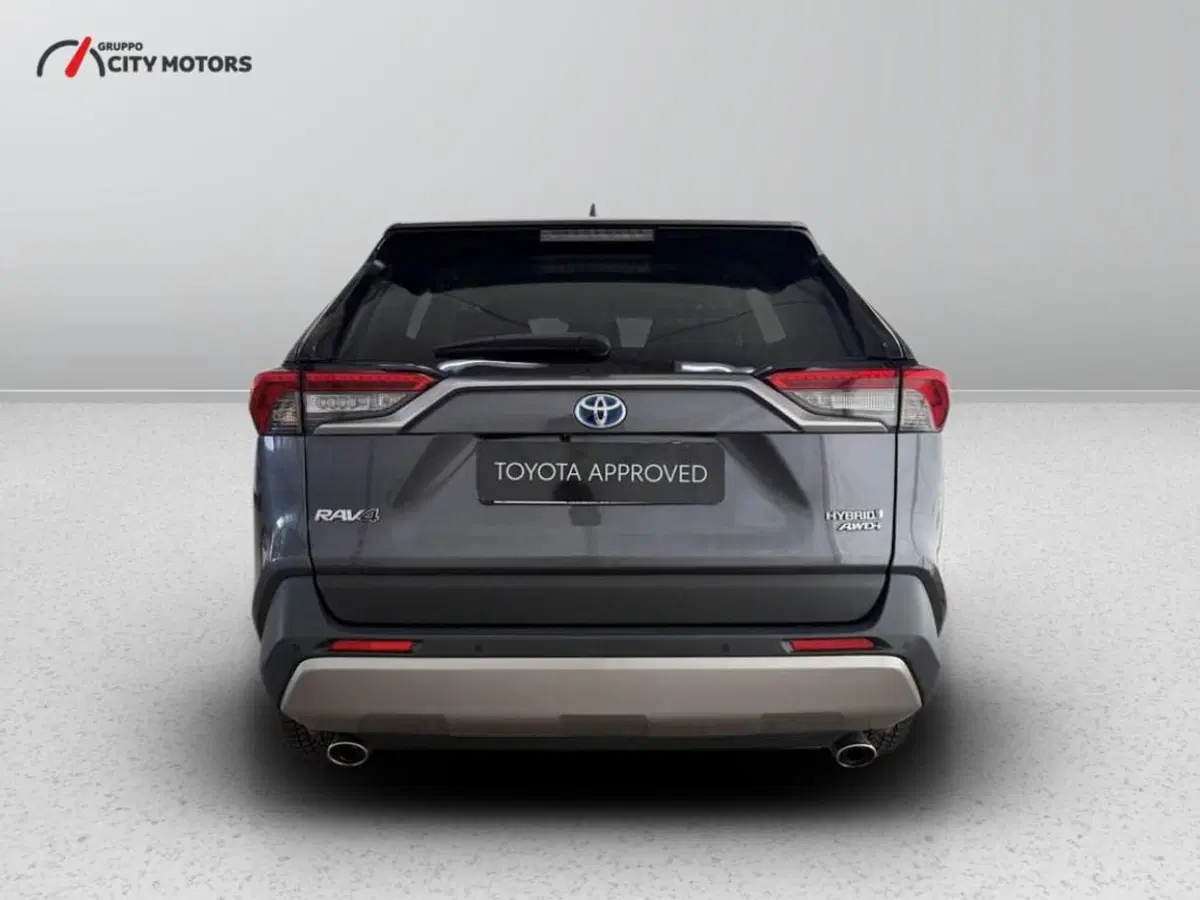 Toyota Rav4 usata a Monza e Brianza (6)