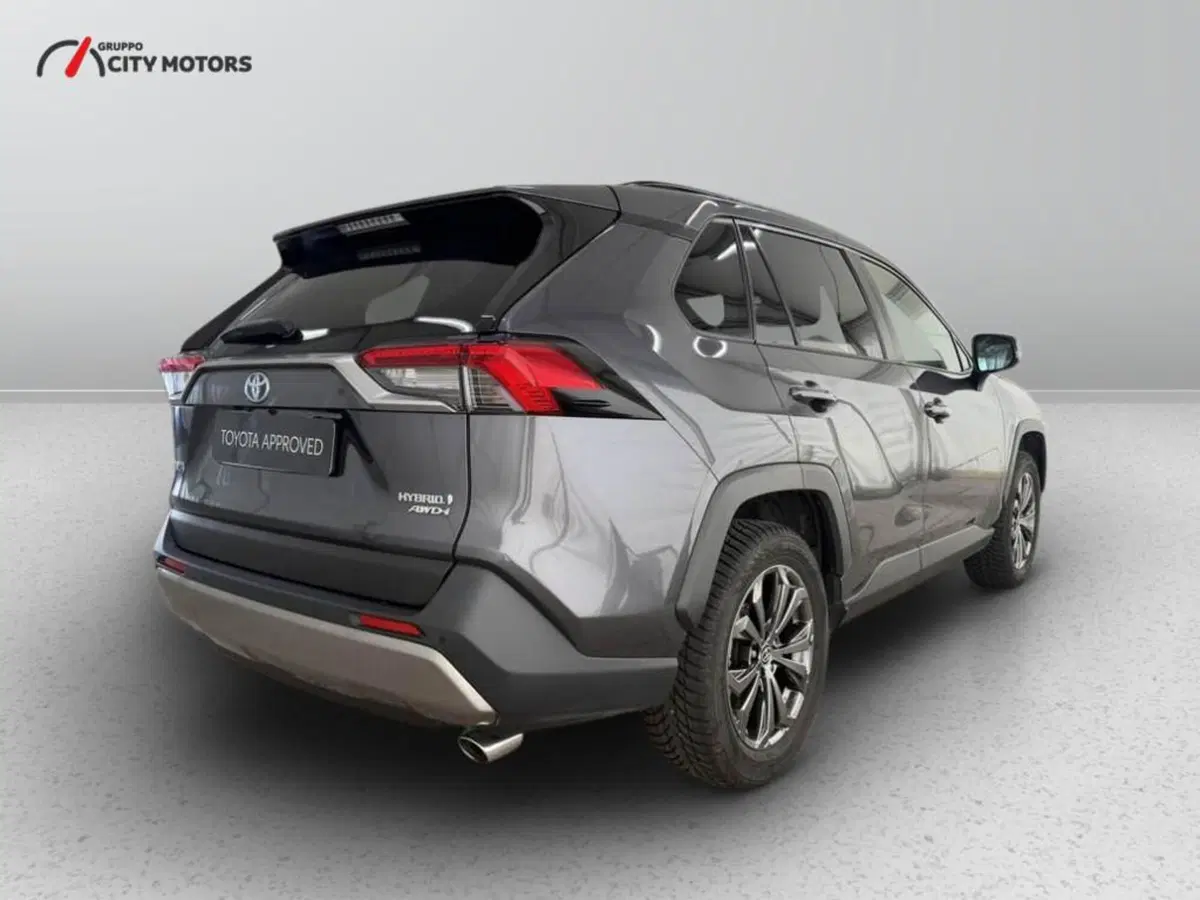 Toyota Rav4 usata a Monza e Brianza (7)