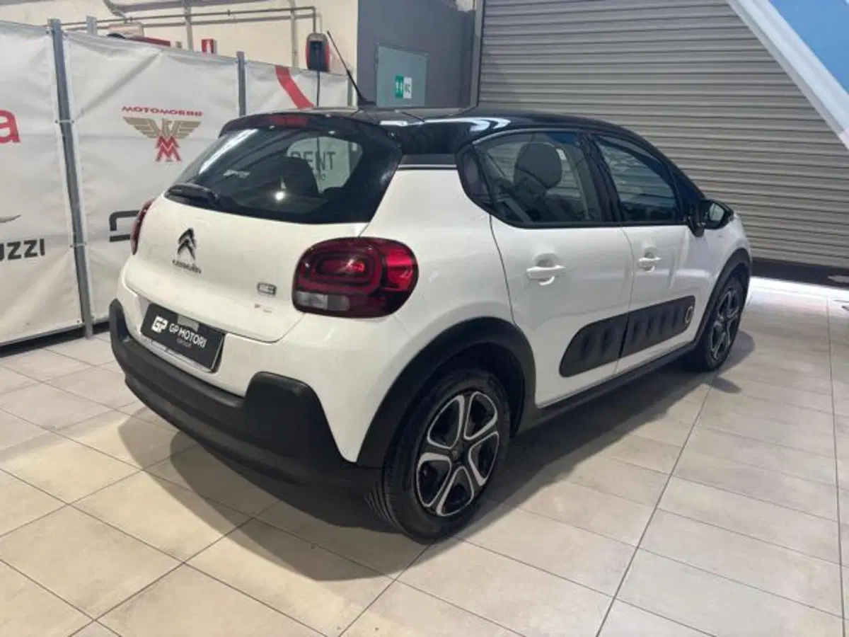 Citroen C3 usata a Caserta (11)