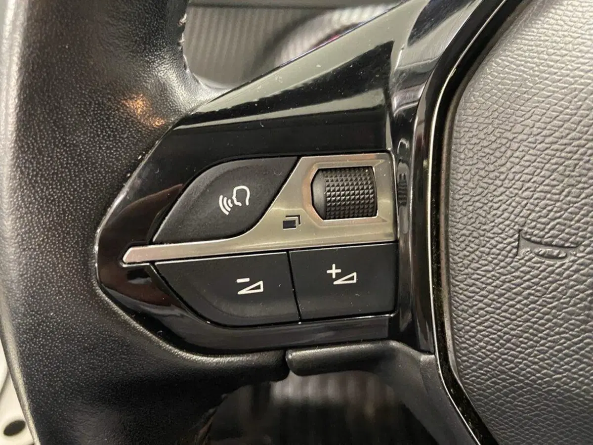 Peugeot 2008 usata a Torino (13)
