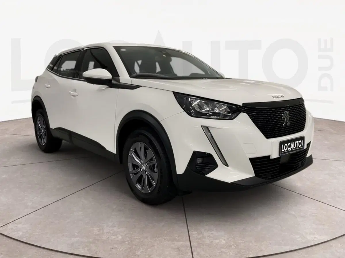 Peugeot 2008 usata a Torino (3)