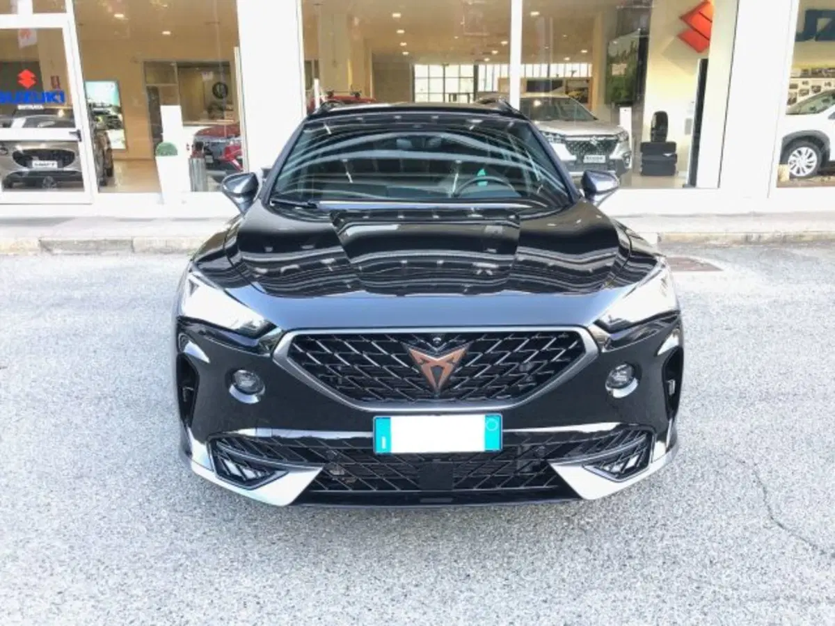Cupra Formentor usata a Torino (2)