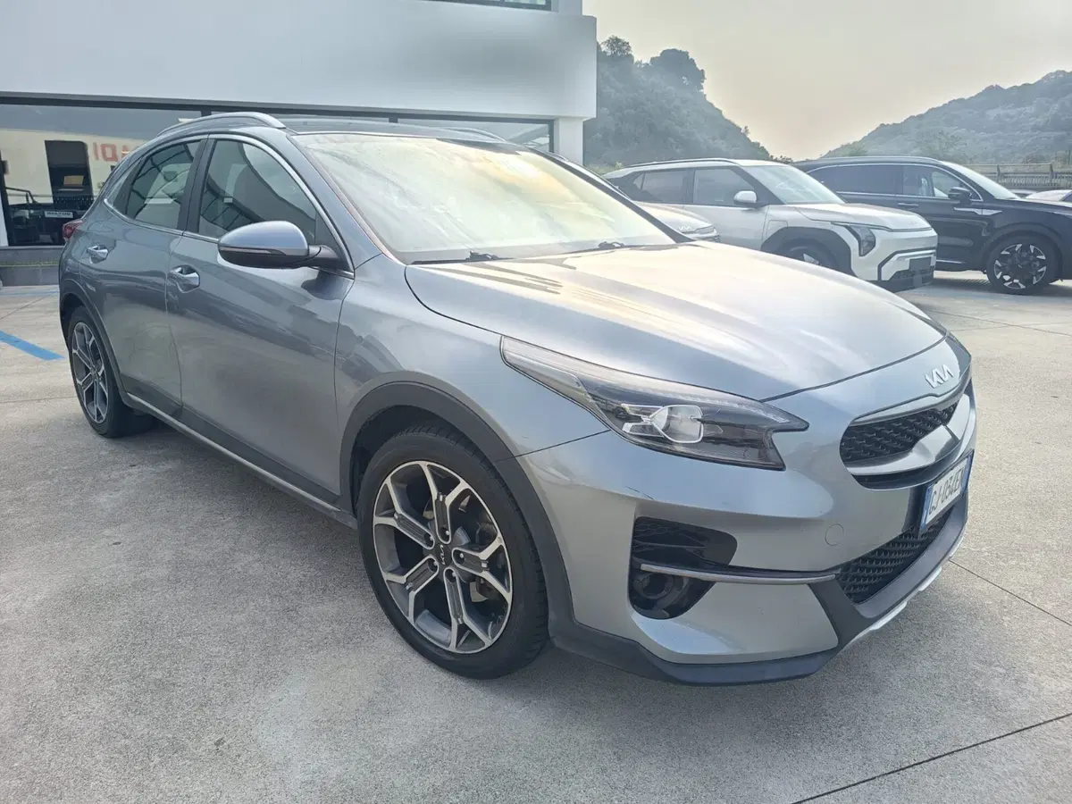 Kia XCeed usata a Cosenza (3)