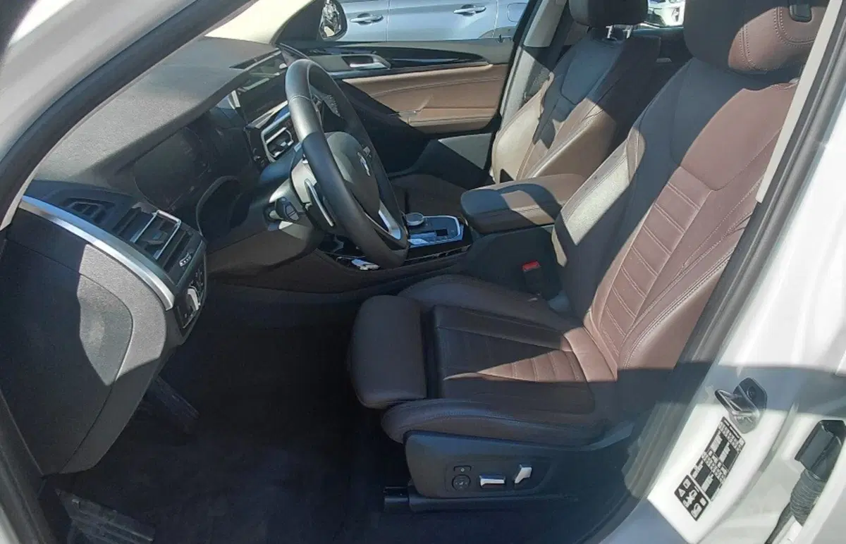 BMW X4 usata a Cosenza (9)