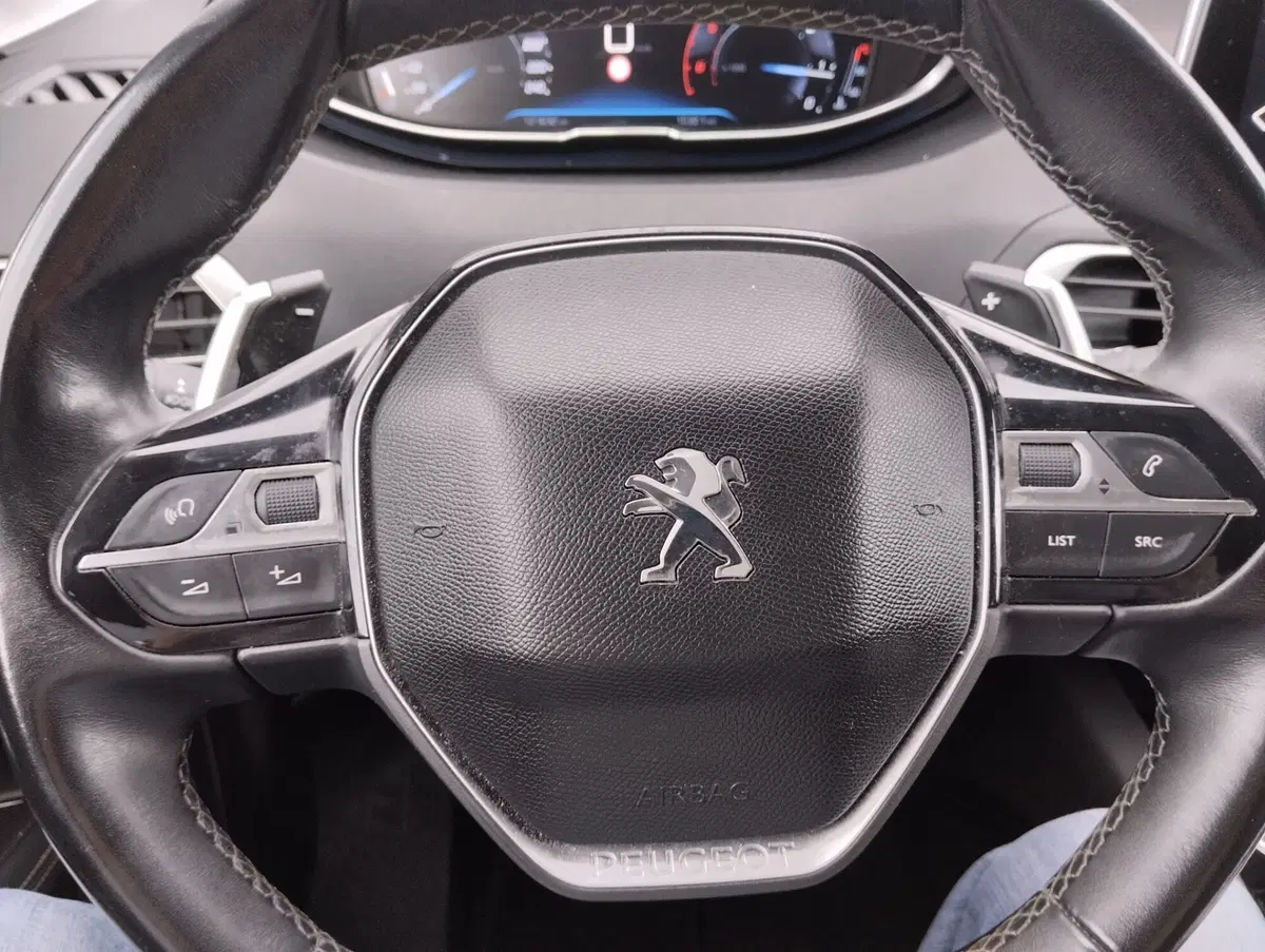 Peugeot 3008 usata a Asti (7)
