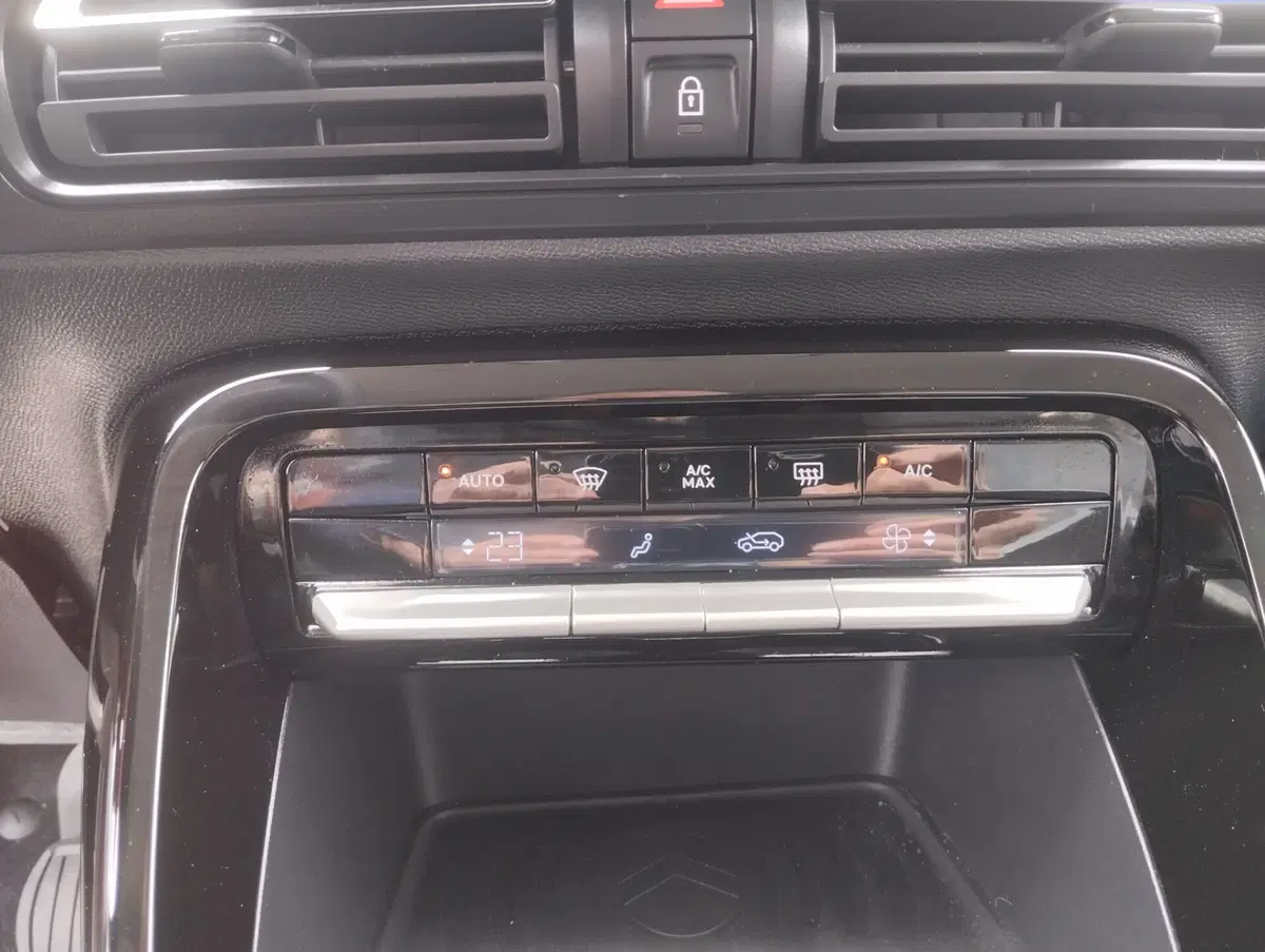 Citroen C3 usata a Asti (17)