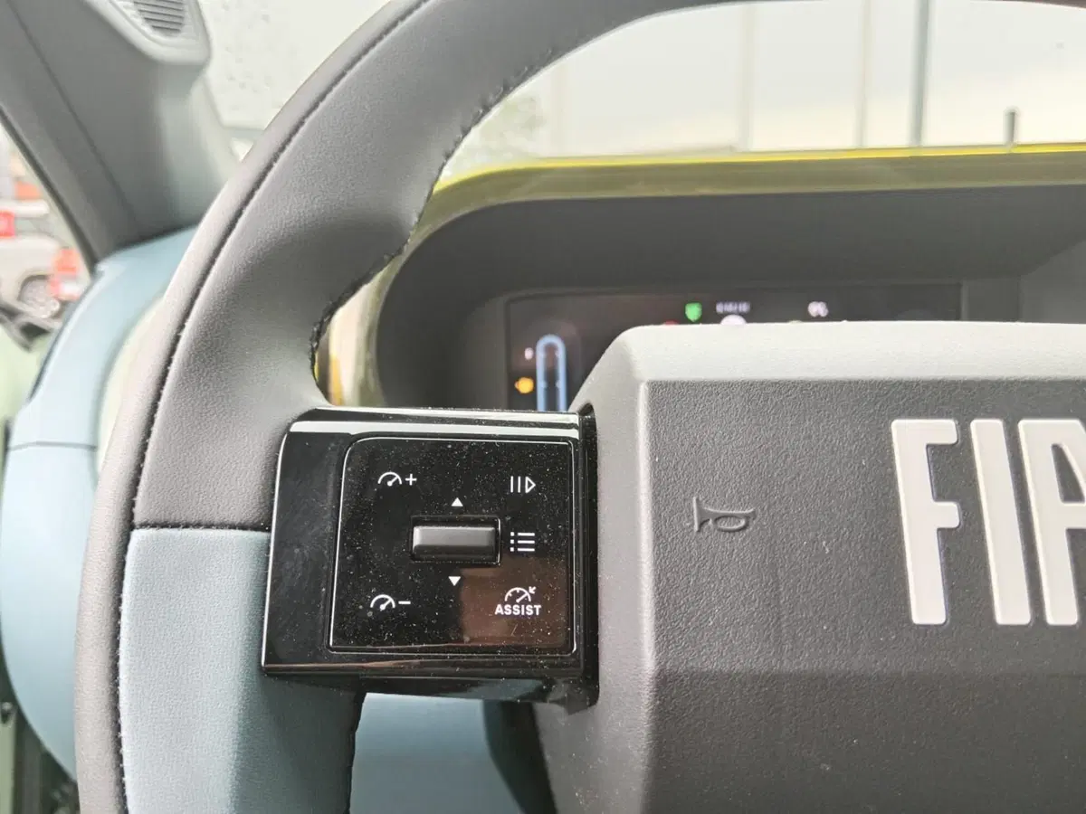 Fiat Grande Panda usata a Alessandria (14)