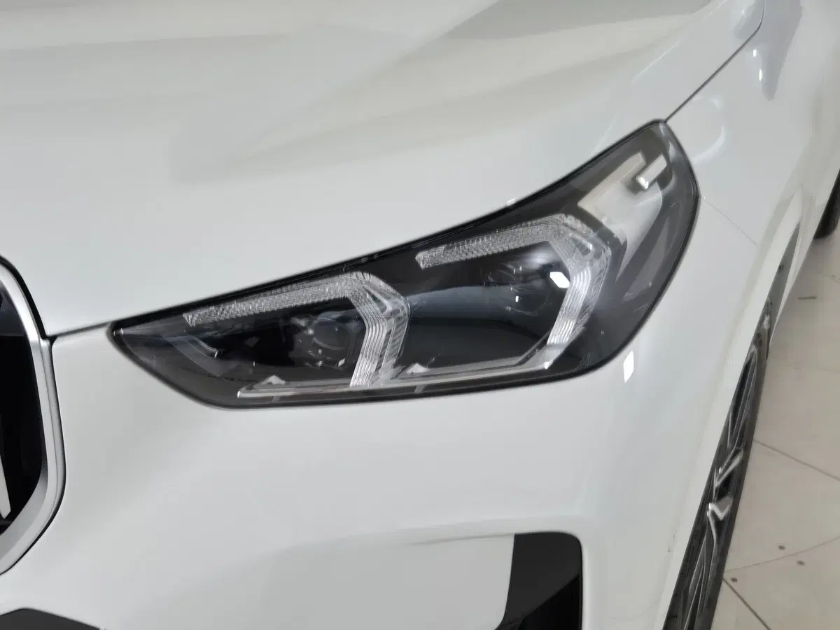 BMW X1 usata a Torino (19)