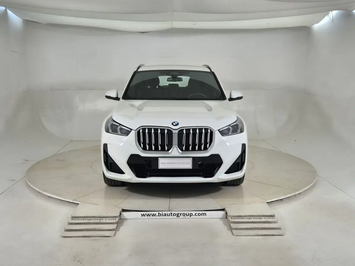BMW X1 usata a Torino (2)