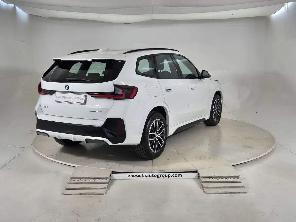 BMW X1 usata a Torino (4)