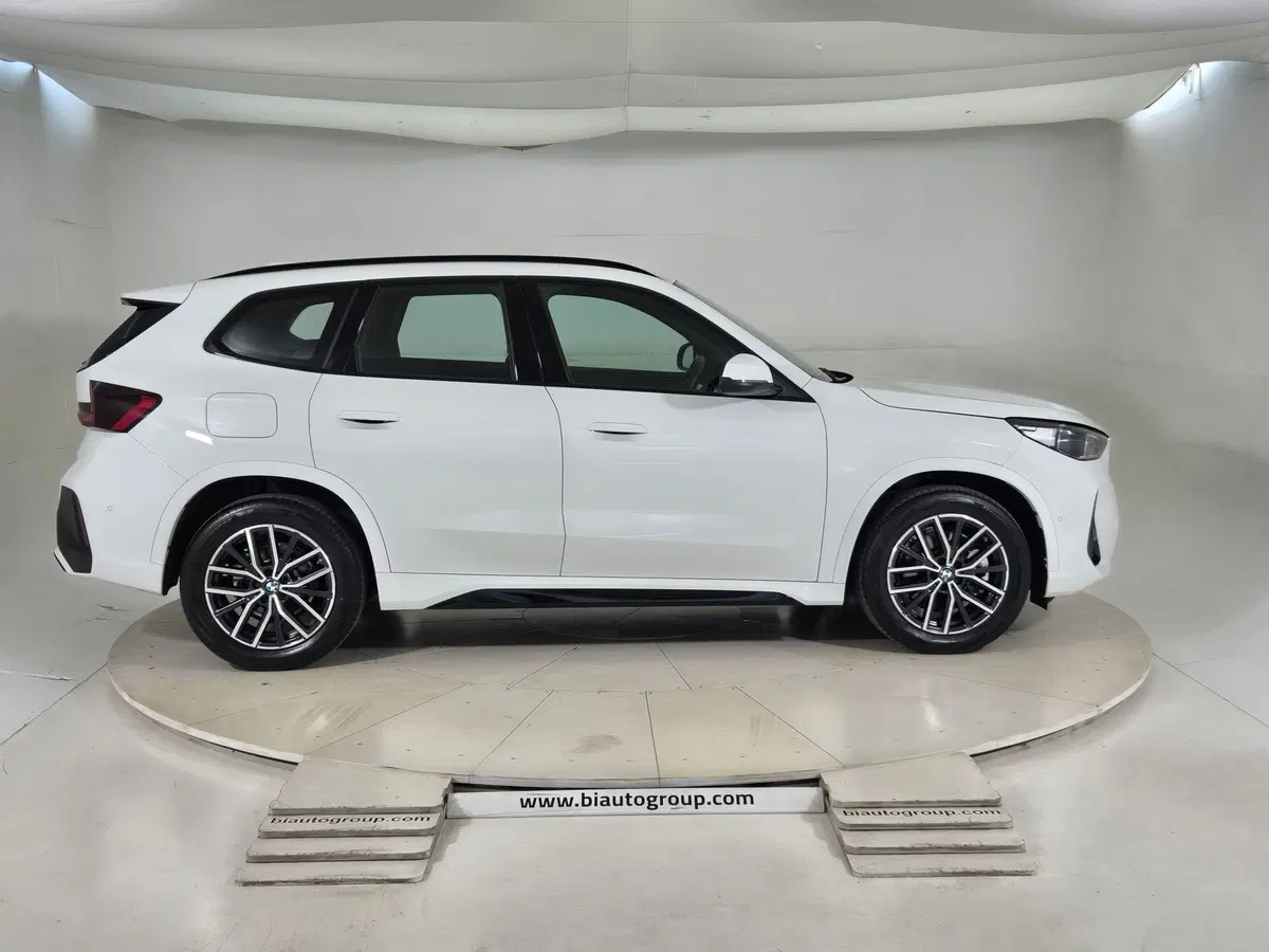 BMW X1 usata a Torino (5)