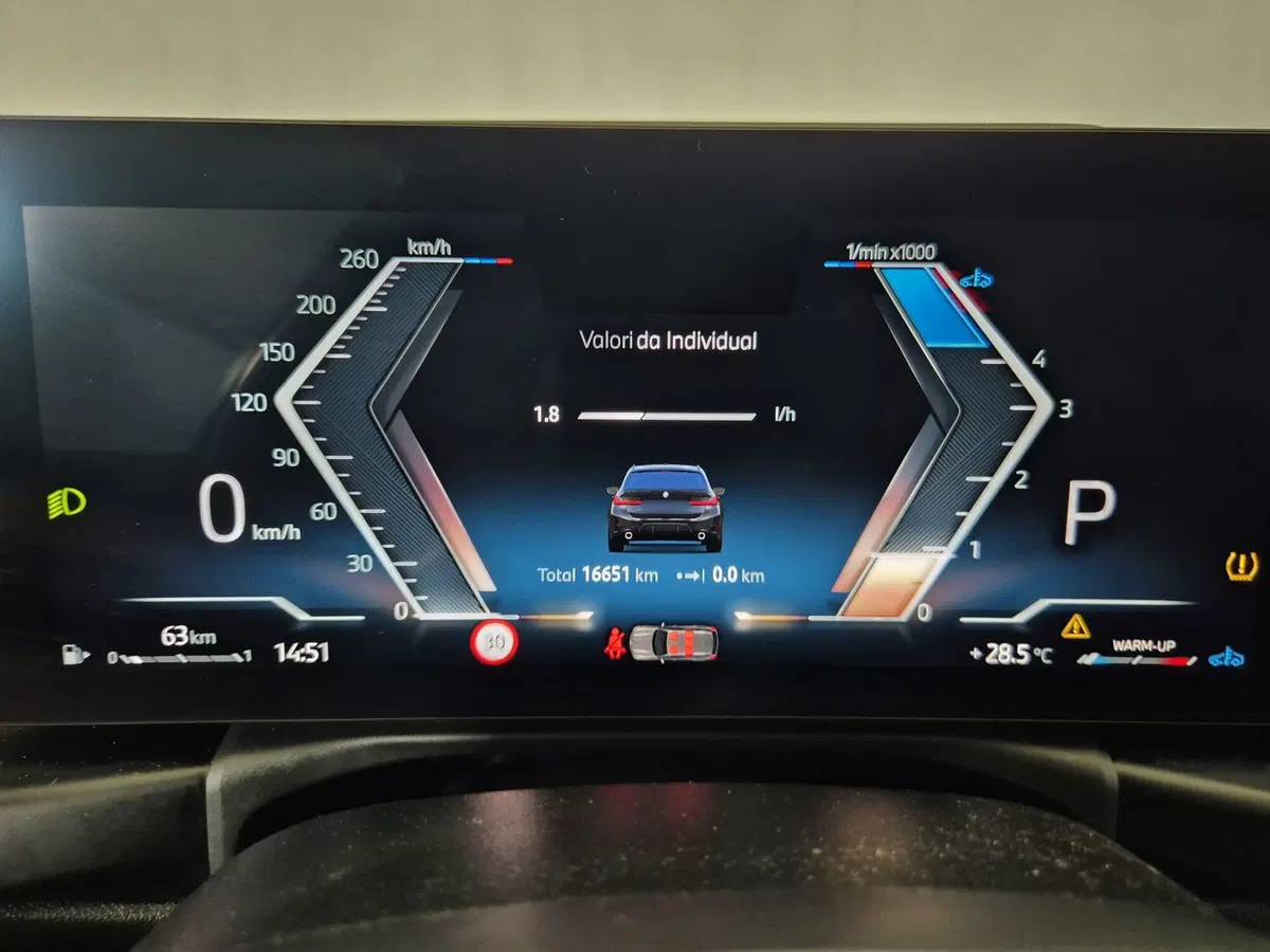 BMW Serie 3 Touring usata a Torino (16)