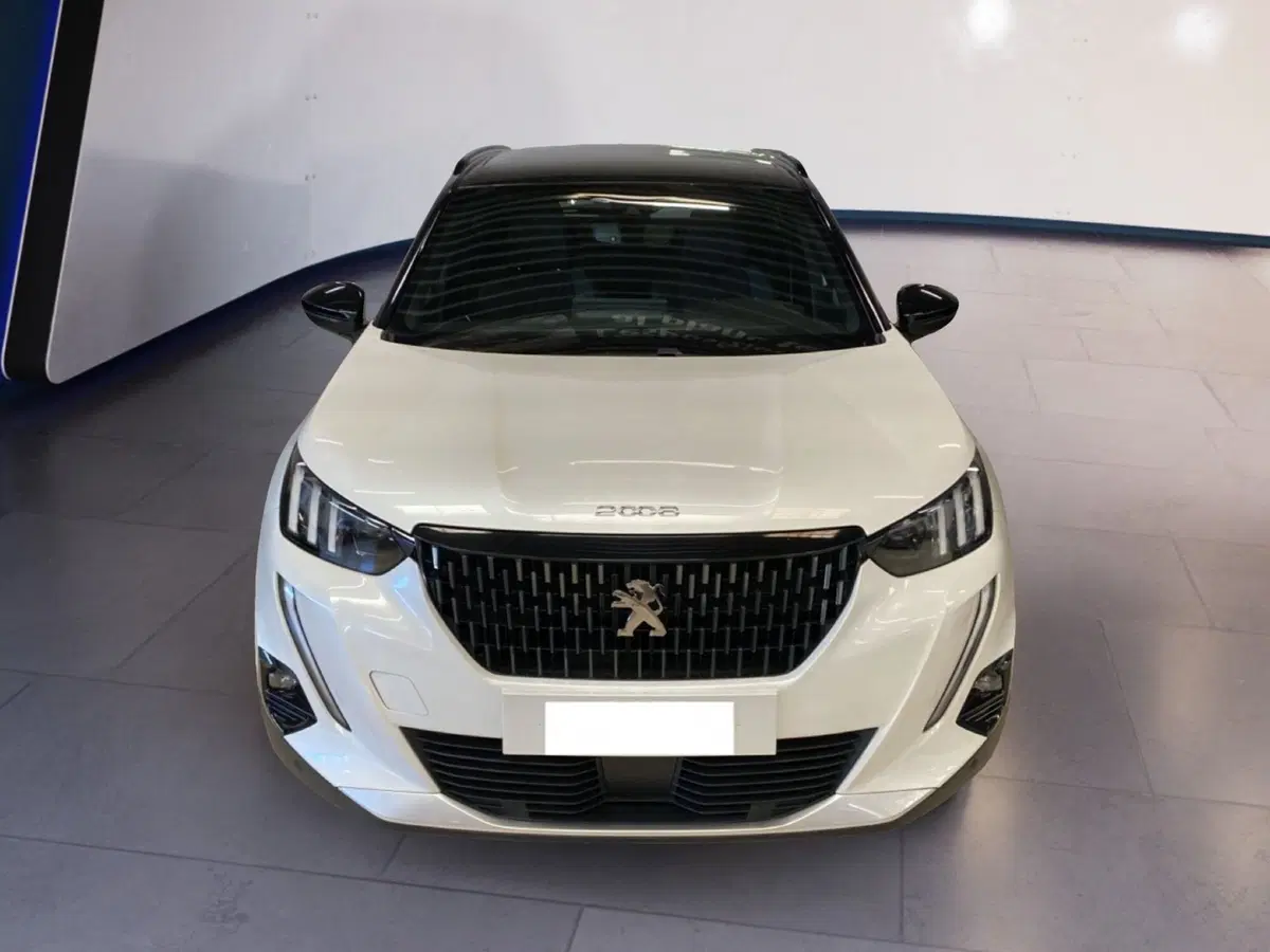 Peugeot 2008 usata a Torino