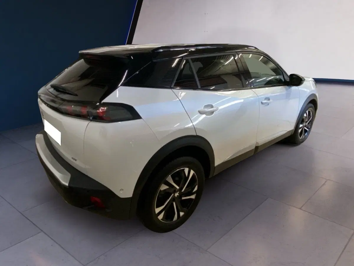 Peugeot 2008 usata a Torino (10)