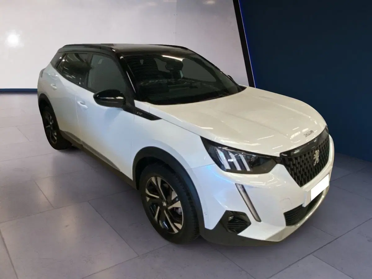 Peugeot 2008 usata a Torino (6)