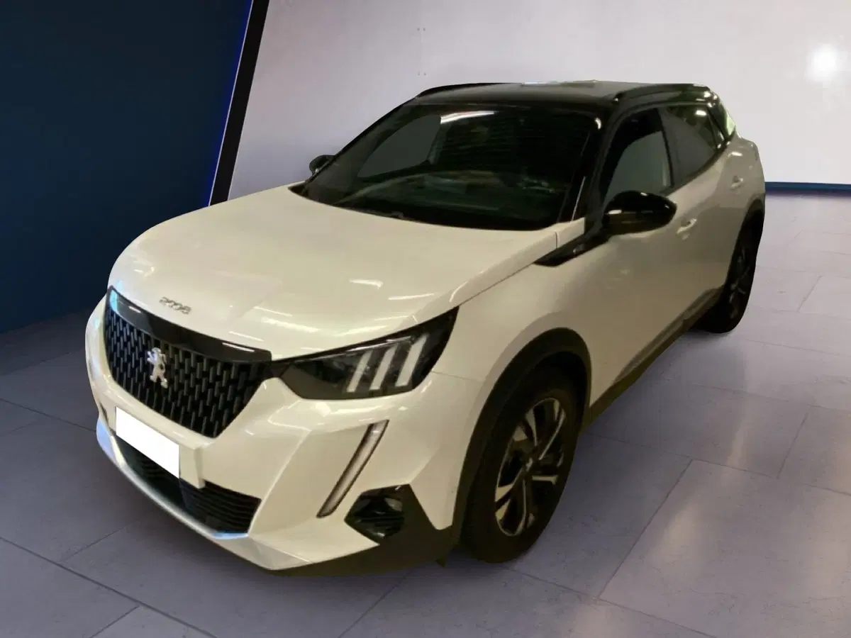 Peugeot 2008 usata a Torino (7)