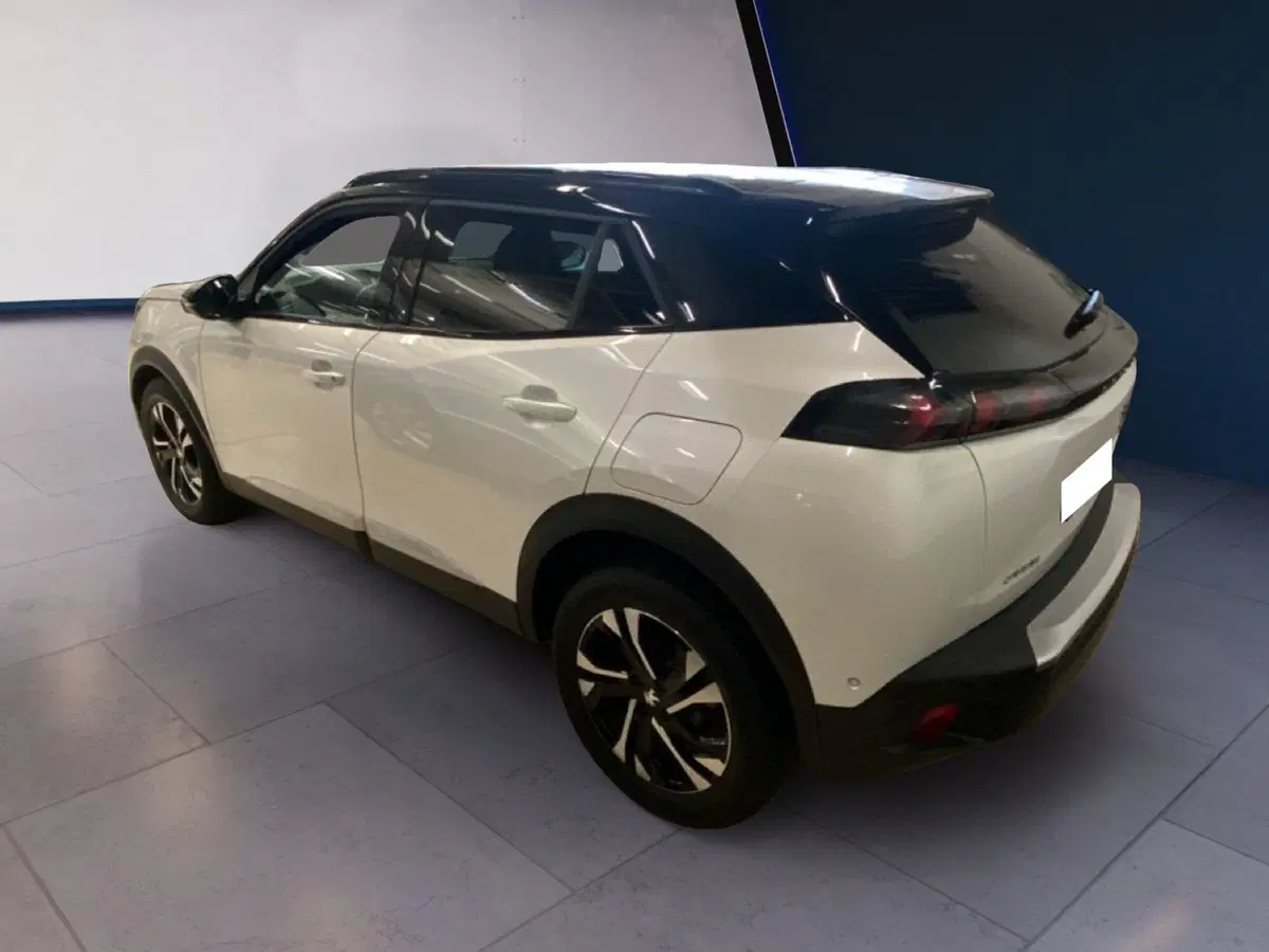 Peugeot 2008 usata a Torino (8)