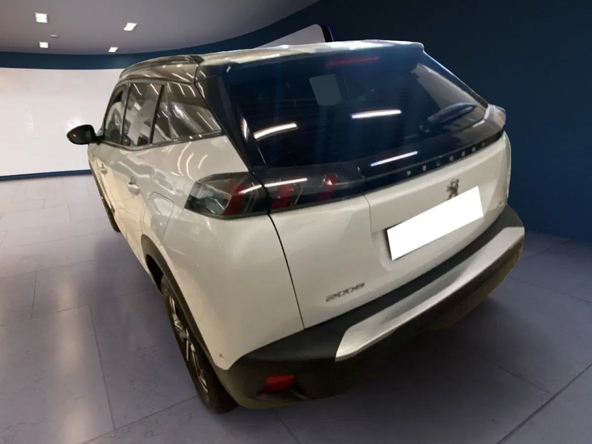 Peugeot 2008 usata a Torino (9)