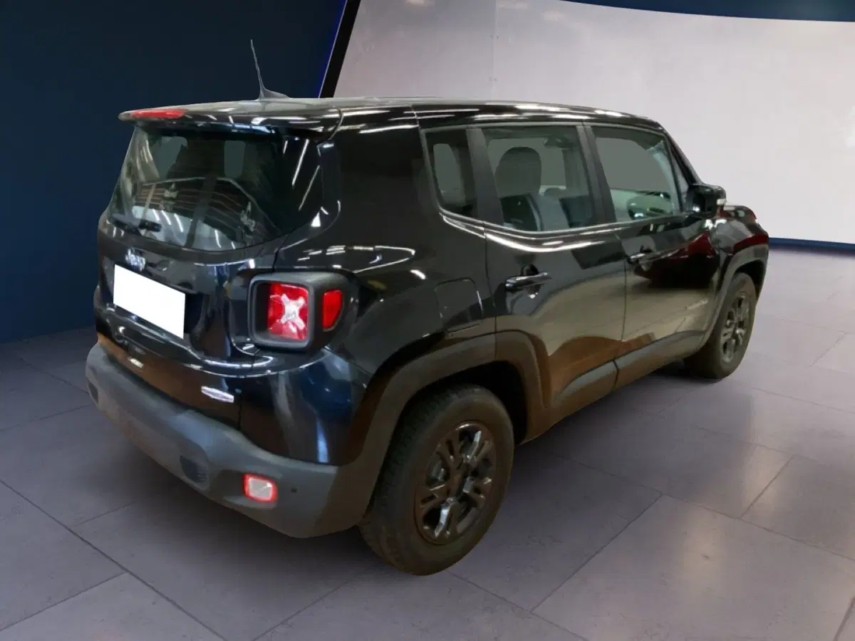Jeep Renegade usata a Torino (10)