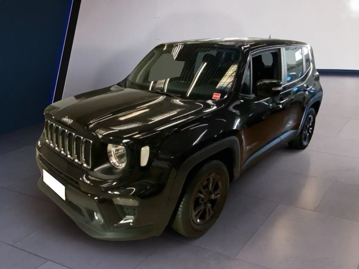 Jeep Renegade usata a Torino (7)