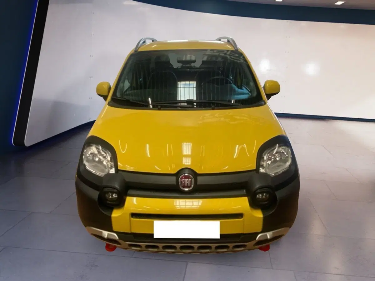 Fiat Panda usata a Torino
