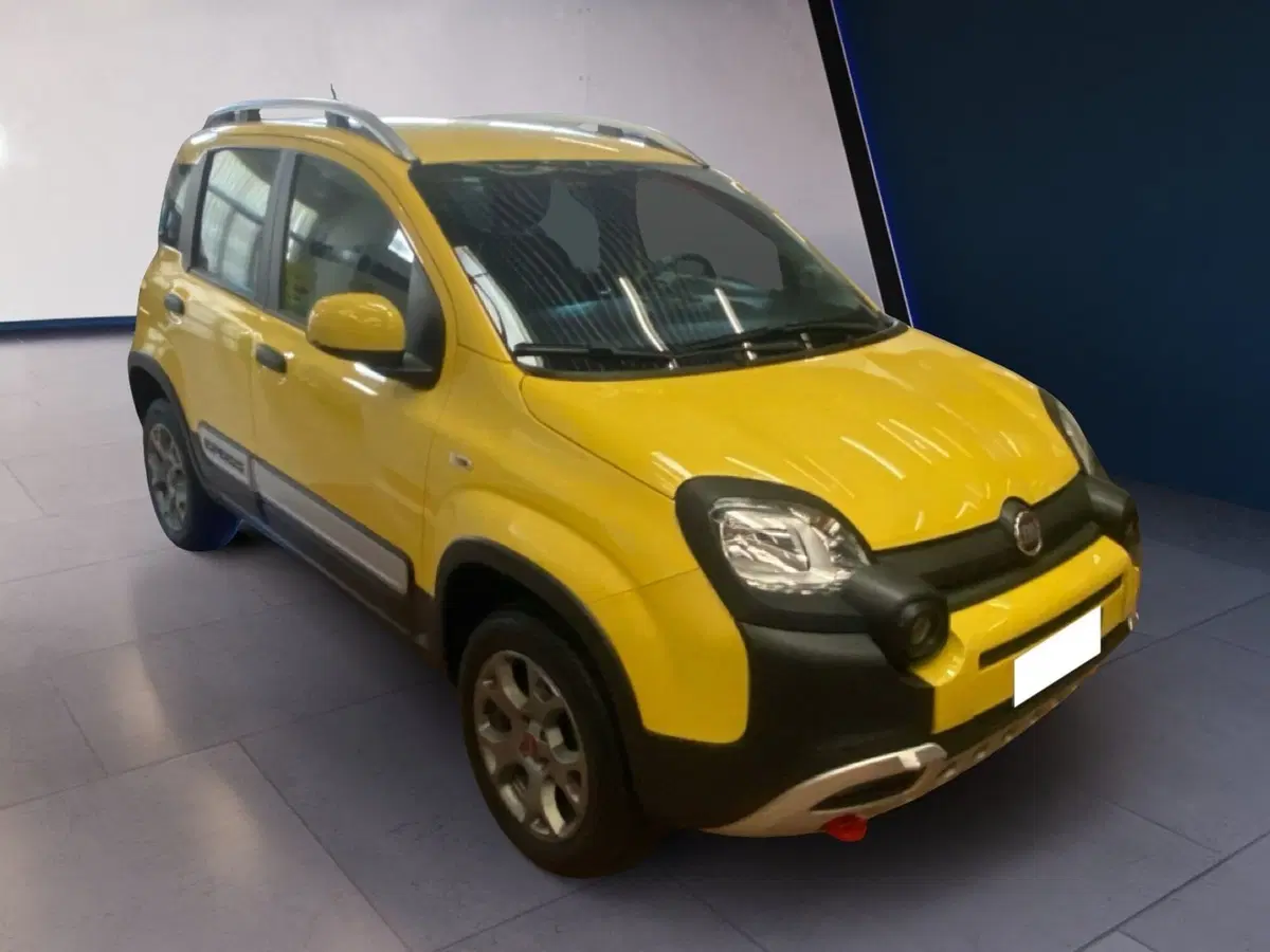 Fiat Panda usata a Torino (6)
