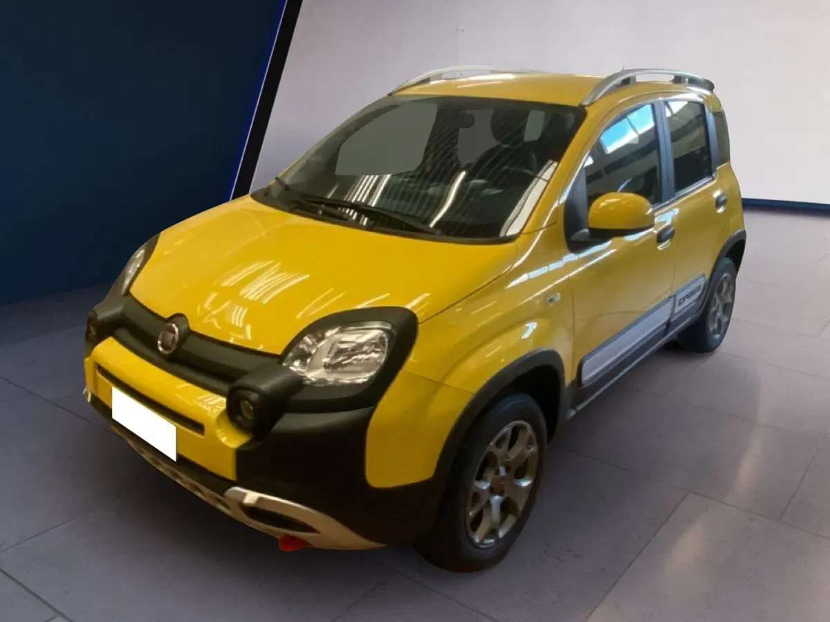 Fiat Panda usata a Torino (7)
