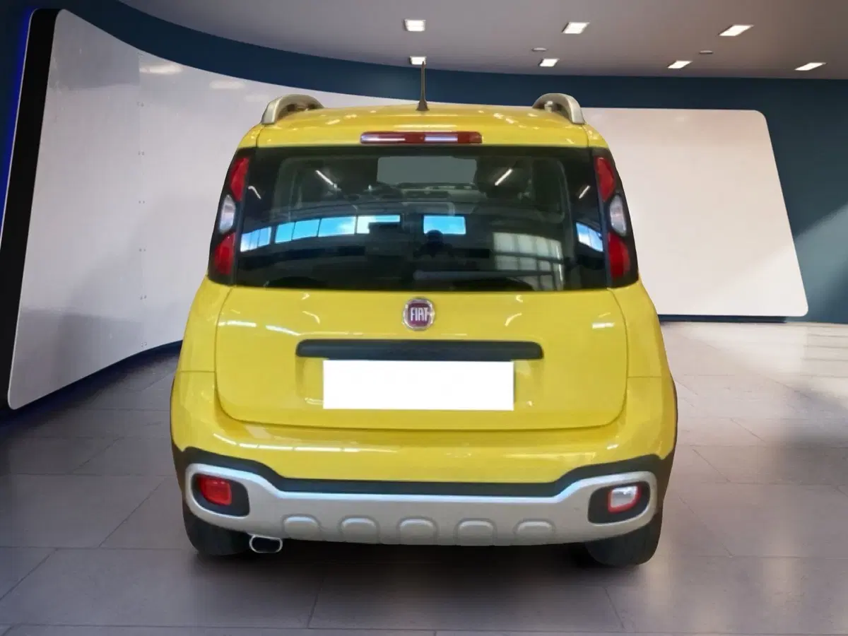 Fiat Panda usata a Torino (9)