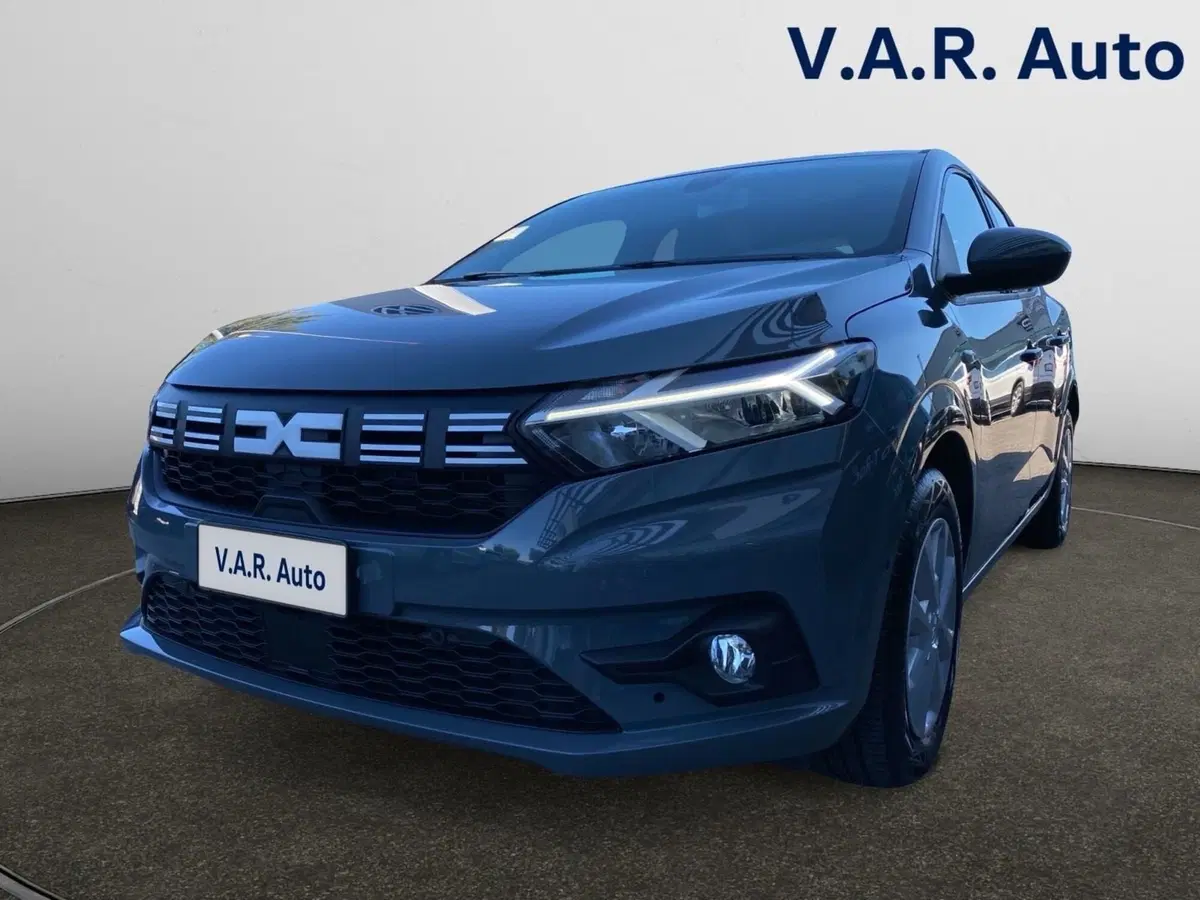 Dacia Sandero usata a Bologna (11)
