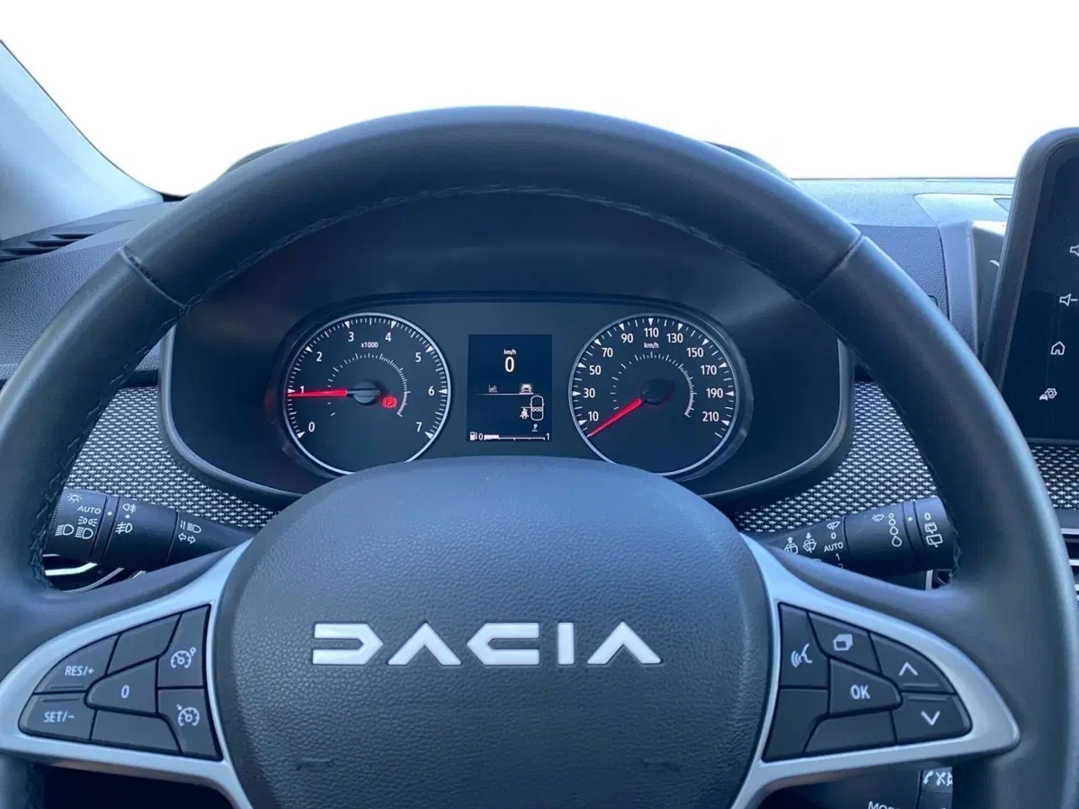 Dacia Sandero usata a Bologna (15)