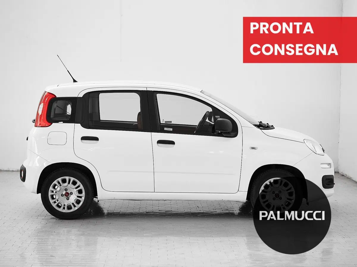 Fiat Panda usata a Prato (5)