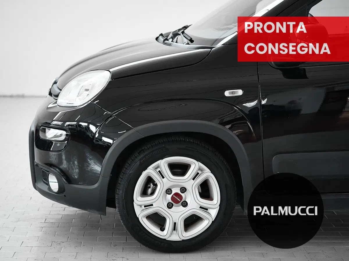 Fiat Panda usata a Prato (7)
