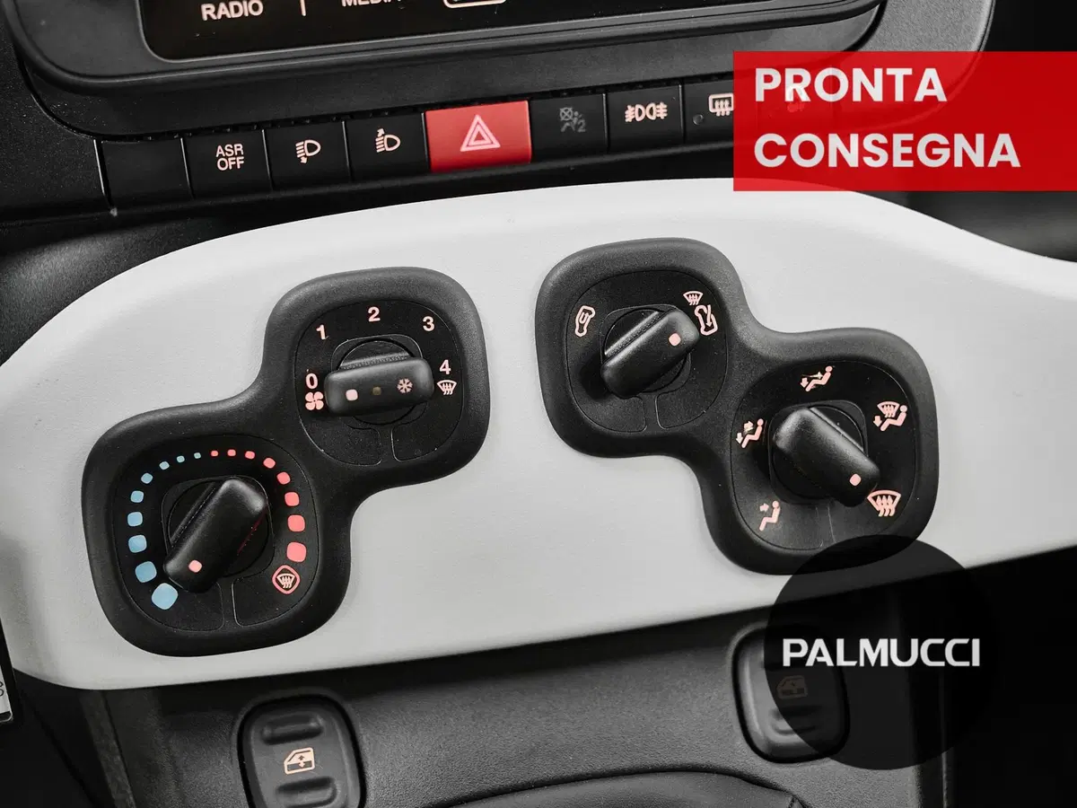 Fiat Panda Cross usata a Prato (11)