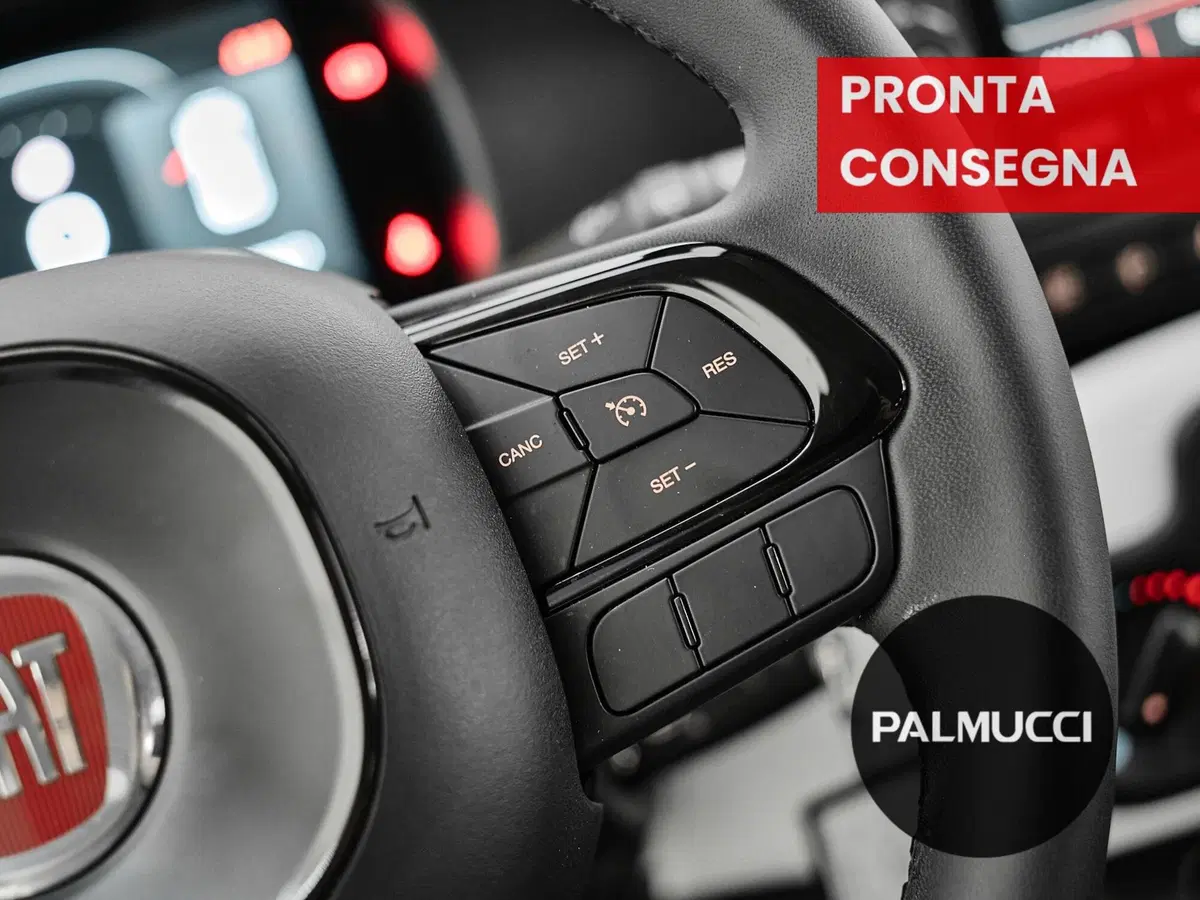 Fiat Panda Cross usata a Prato (13)