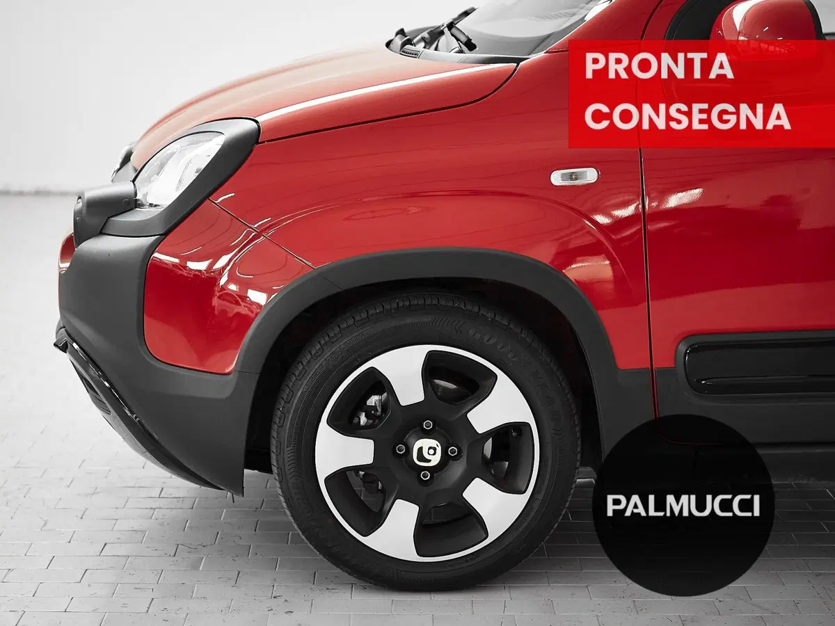 Fiat Panda Cross usata a Prato (5)