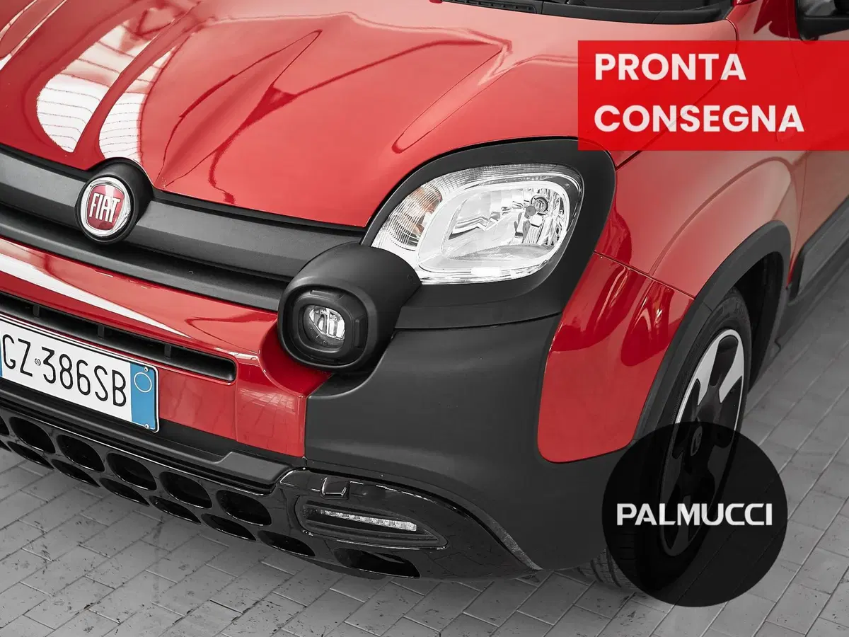 Fiat Panda Cross usata a Prato (8)