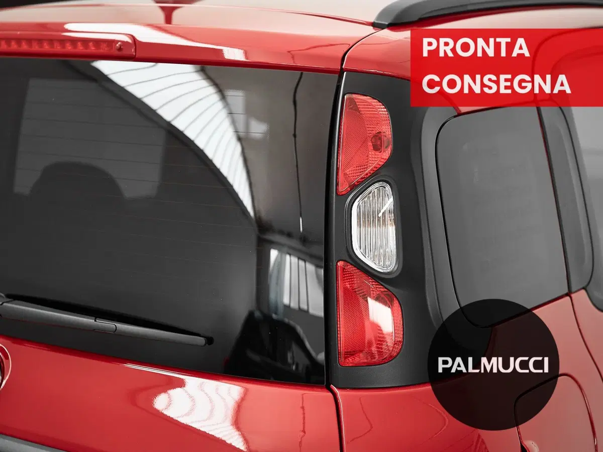 Fiat Panda Cross usata a Prato (9)