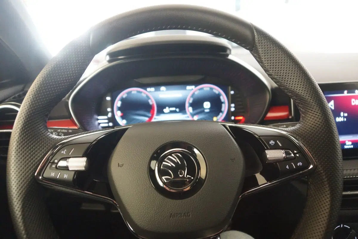 Skoda Fabia usata a Torino (14)