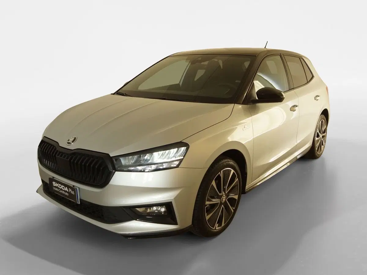 Skoda Fabia usata a Torino (18)