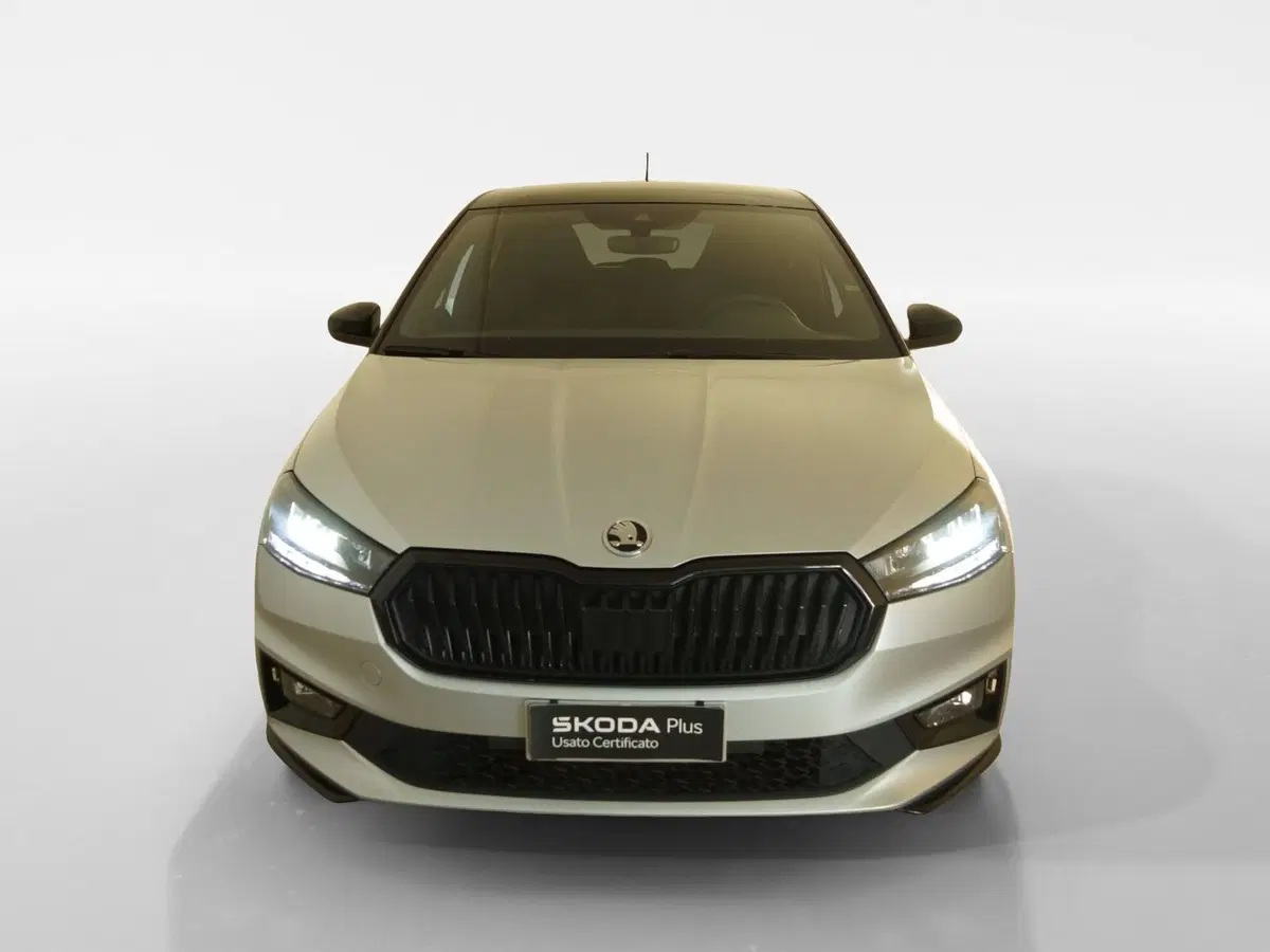 Skoda Fabia usata a Torino (19)