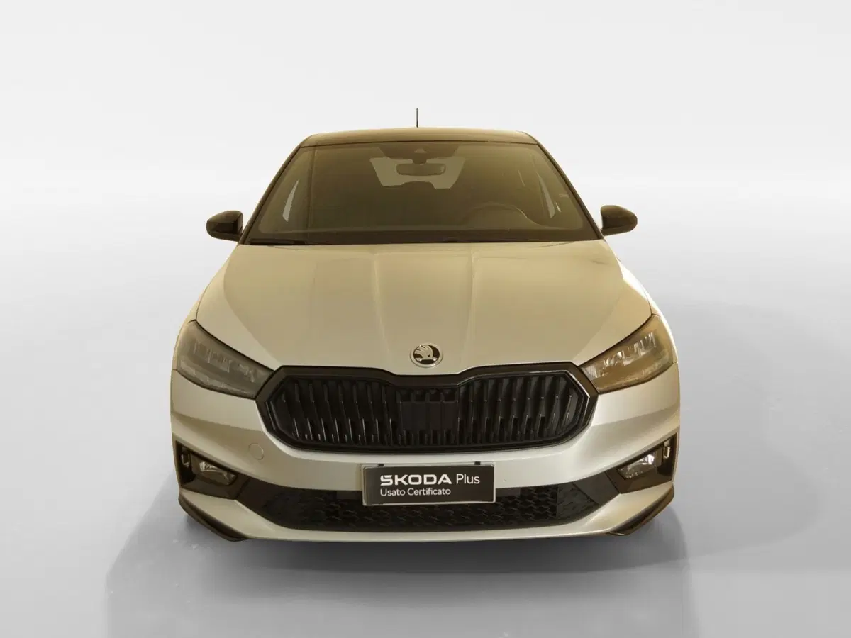 Skoda Fabia usata a Torino (2)