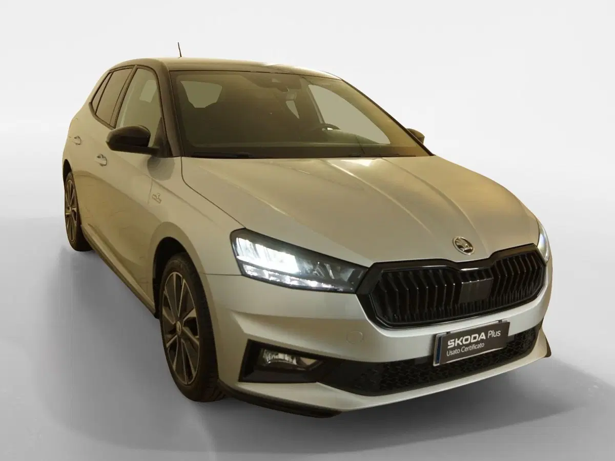 Skoda Fabia usata a Torino (20)