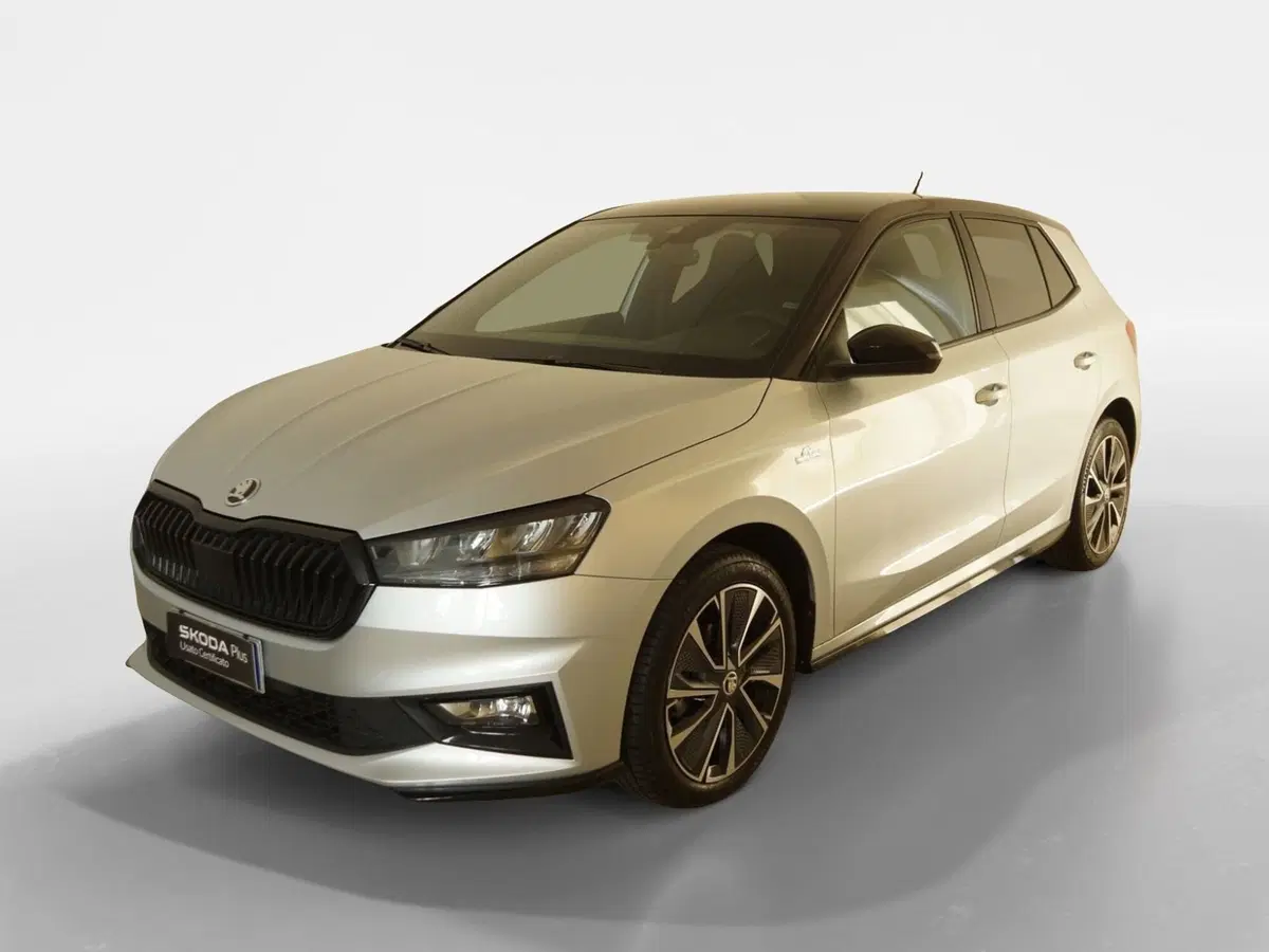 Skoda Fabia usata a Torino (3)
