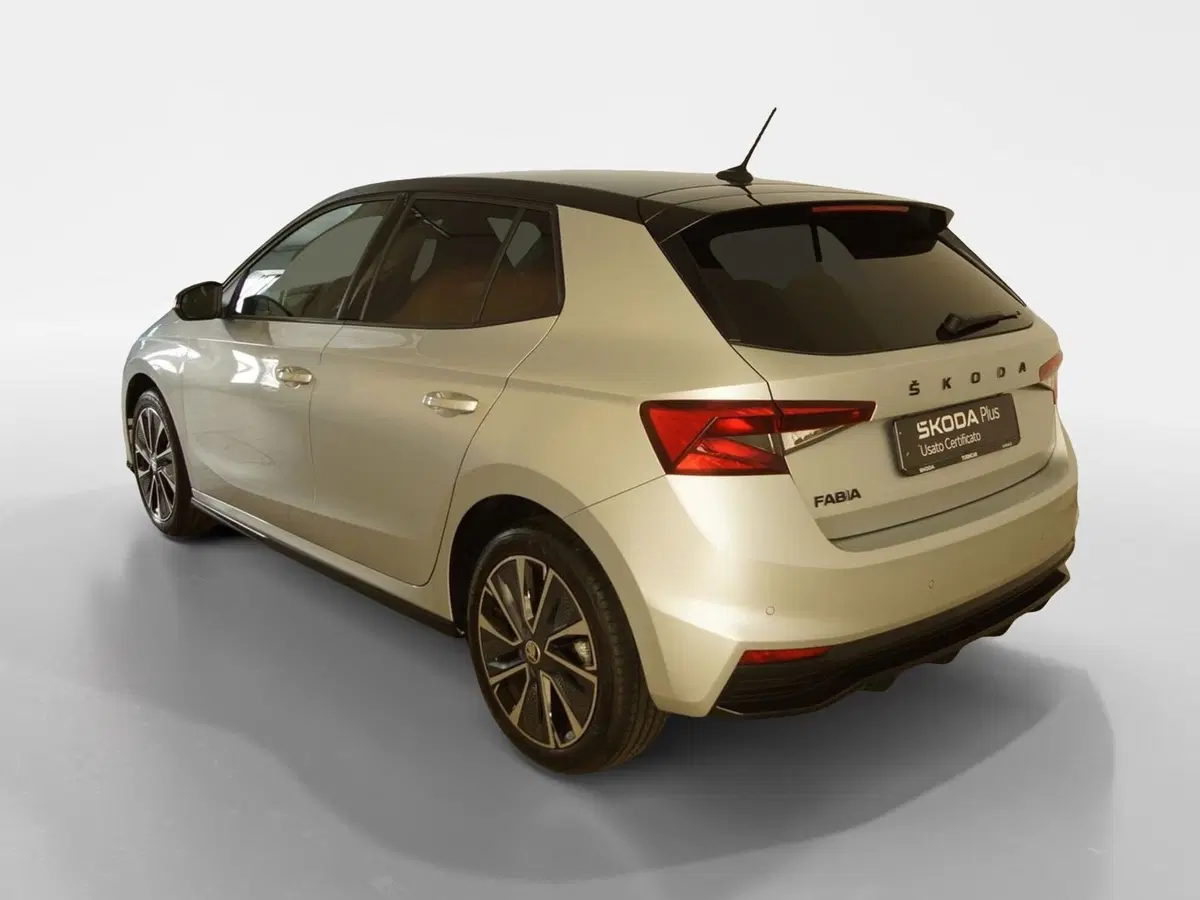 Skoda Fabia usata a Torino (4)