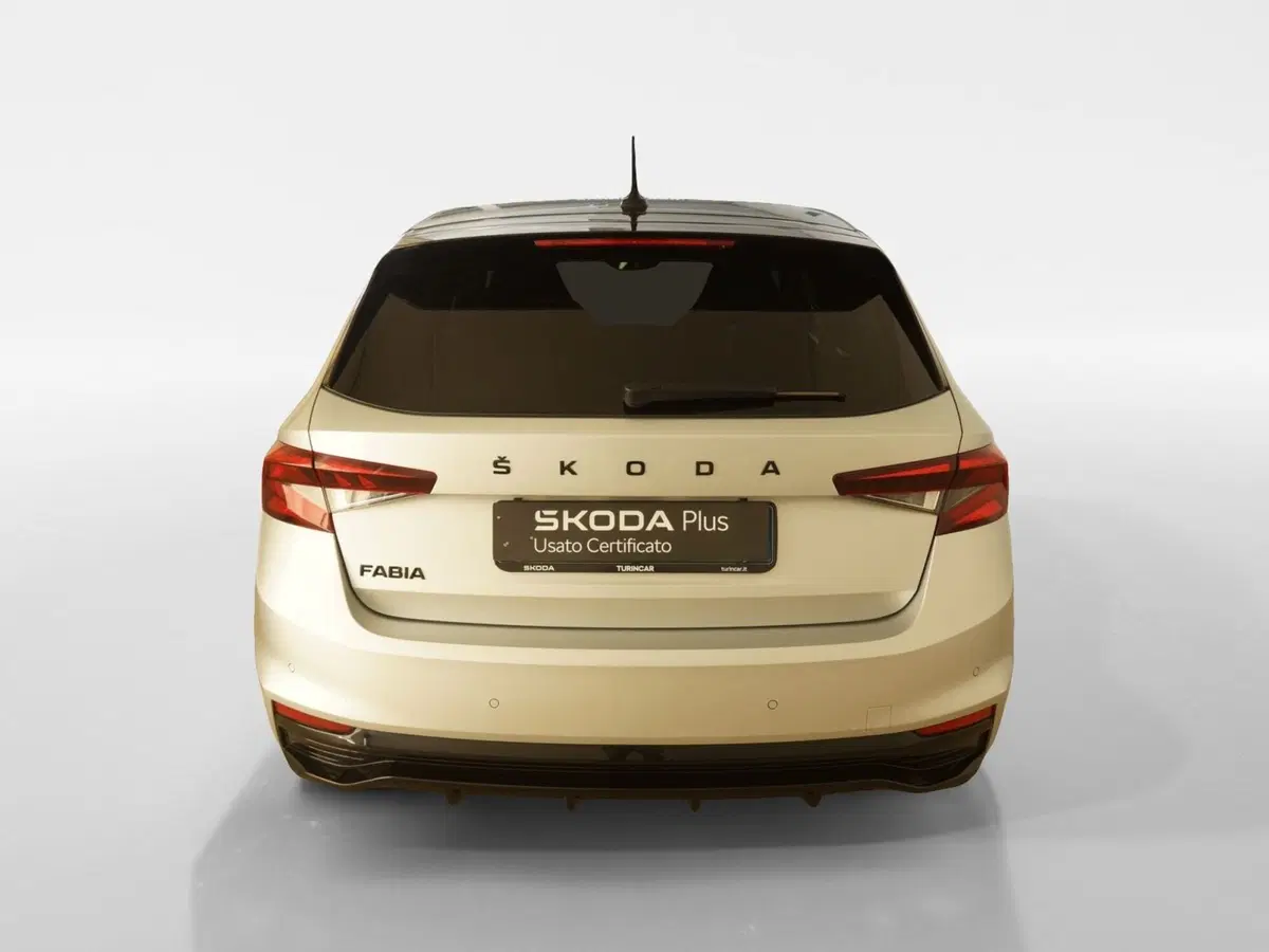 Skoda Fabia usata a Torino (5)