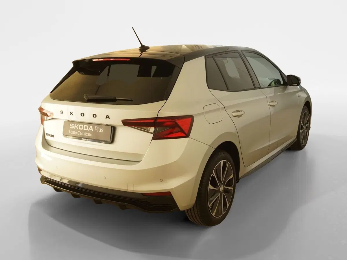 Skoda Fabia usata a Torino (6)